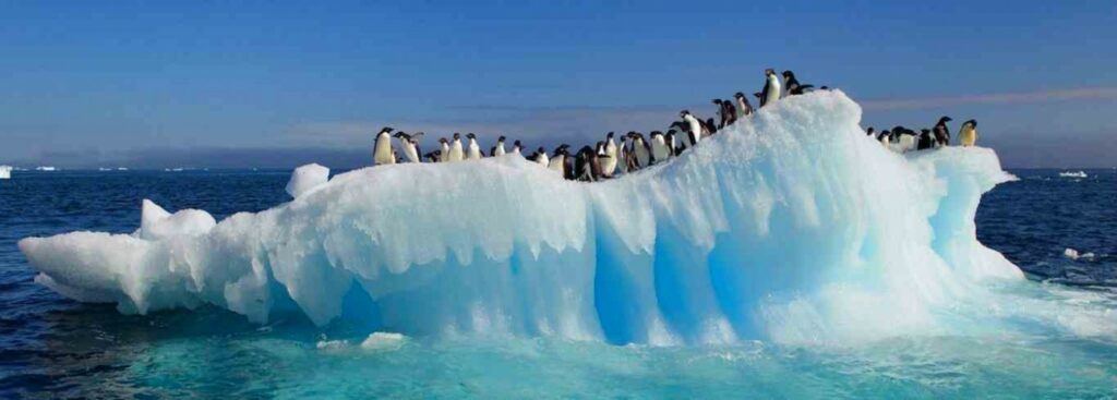 Plonger dans un monde volatil incertain complexe ambigu
